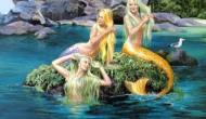 Complaint Letter From A Mermaid